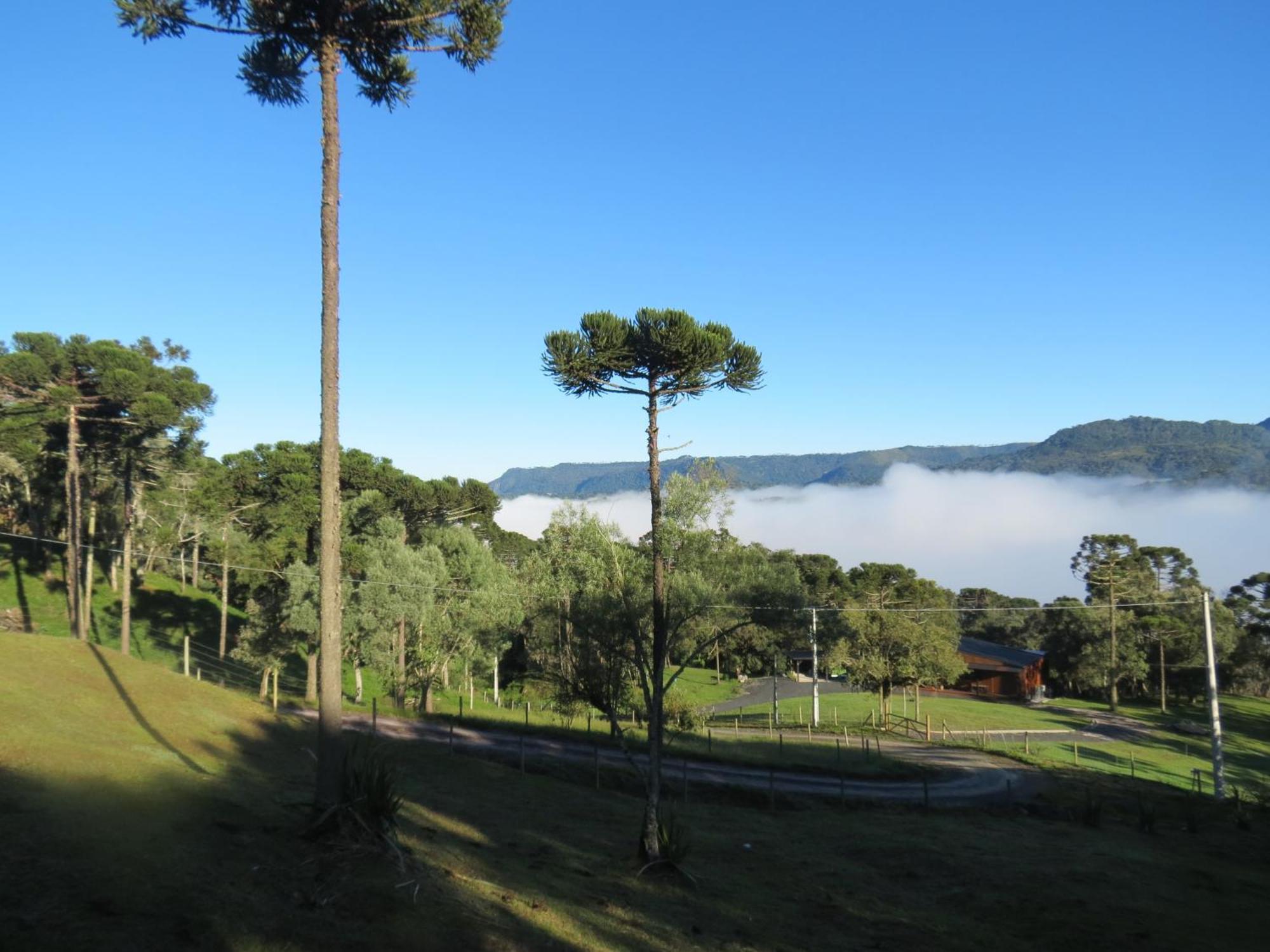 Refugio Da Montanha Villa Urubici Bagian luar foto