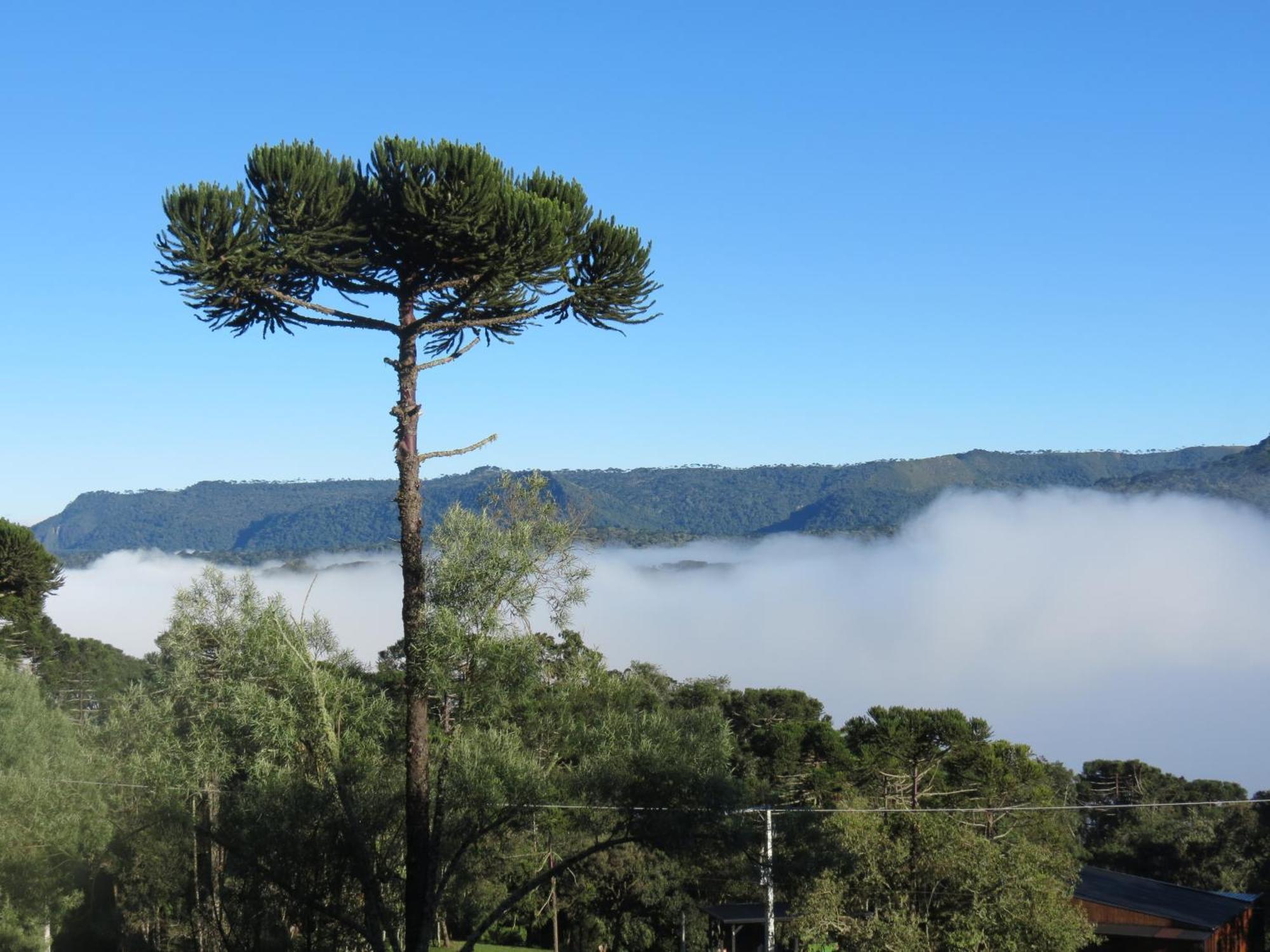 Refugio Da Montanha Villa Urubici Bagian luar foto