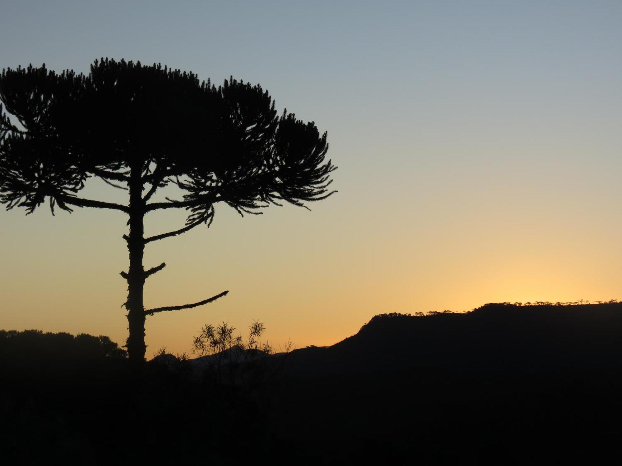 Refugio Da Montanha Villa Urubici Bagian luar foto